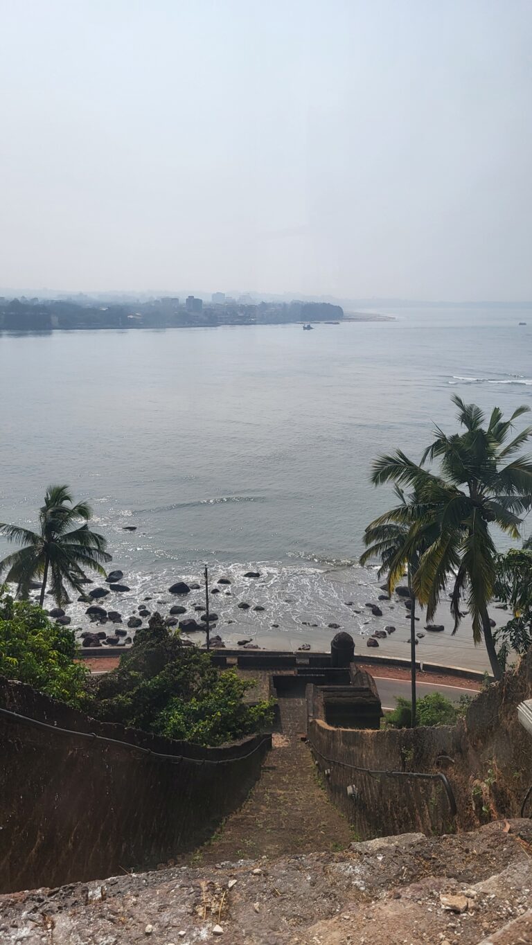 Mandovi river view, Goa