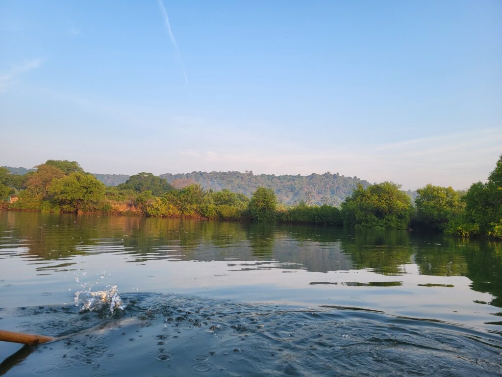 water safari mandavi nature stay