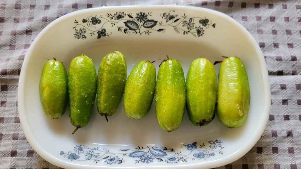 Bimbal fruit