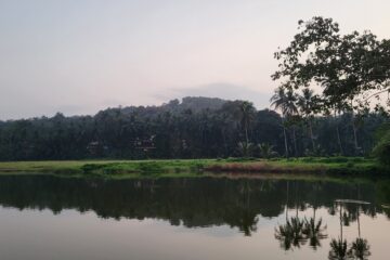 तोर्ड्याची खाडी
