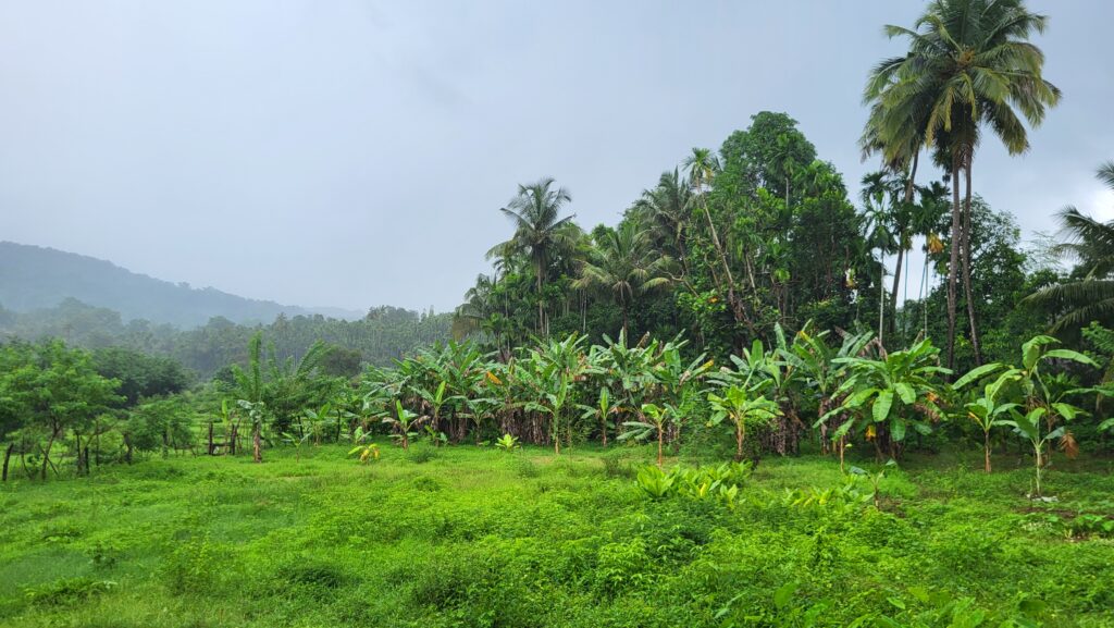 Brahmakarmali, nature view