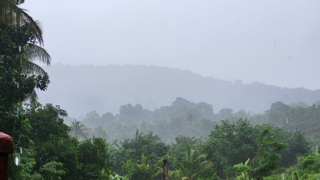 hill side view of brahmakarmali