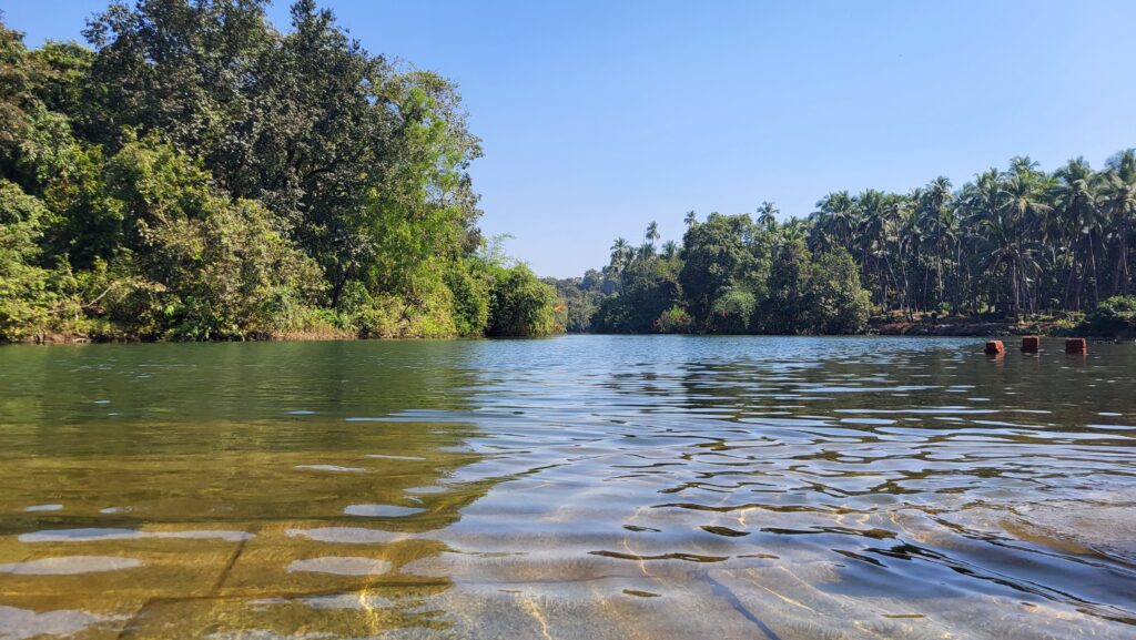 Kushavati river, Partagali