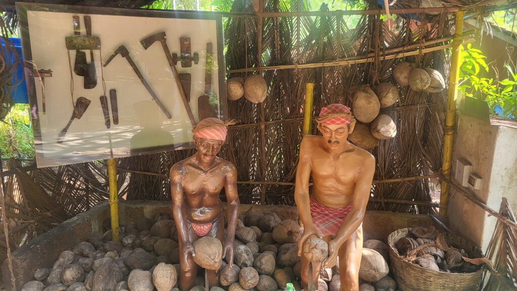 Coconut peelers big foot