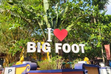 I love bigfoot