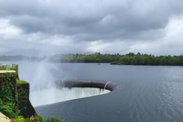 salaulim dam