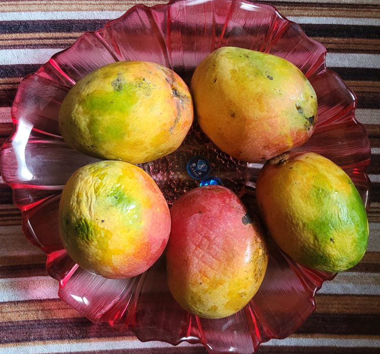 Musrad Mango