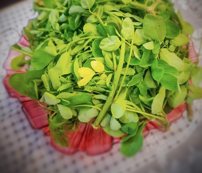 तायखिळा